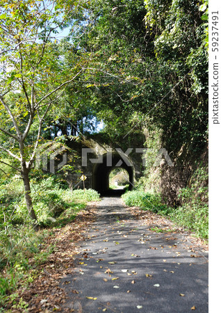 Goshin Line trace 59237491