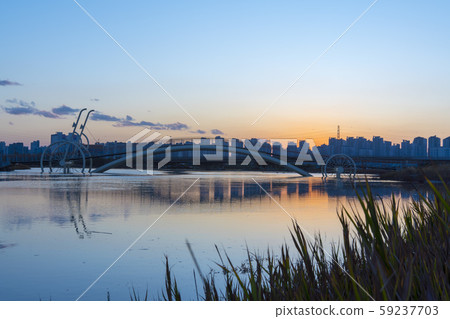 Bridge of micro-life, Siheung city, Gyeonggi-do 59237703