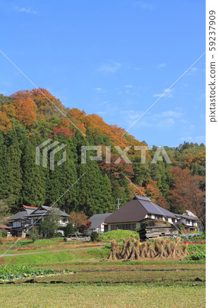 白馬村之浦秋山村 照片素材 圖片 圖庫