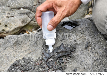 Archaeologists are using tools to explore fossils Archaeologists are using tools to explore fossils 59237927