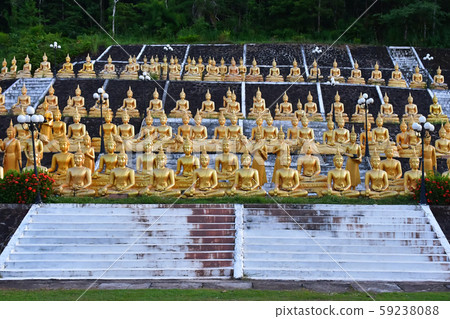 Buddha images lined up in temples 59238088