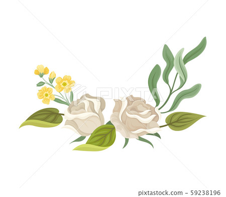 Summer Blooming White Rose Design Vector Collection 59238196
