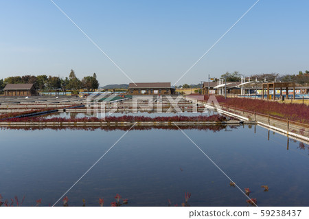 Siheung Tidal-Ecological Park, Siheung City, Gyeonggi-do 59238437