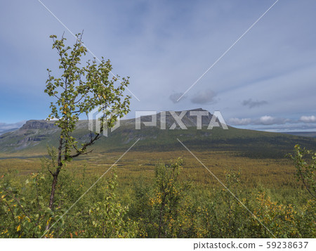 Beautiful wild nature of Sarek national park in Beautiful wild nature of Sarek national park in 59238637