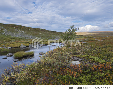 Lapland landscape with small pond, stones Lapland landscape with small pond, stones 59238652