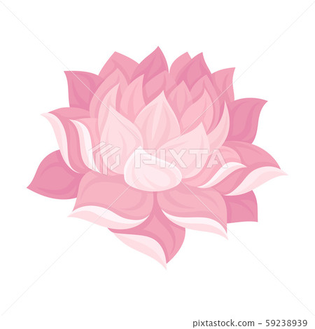 Magnificent Waterlily Flower Bud With Tender Petals Vector Illustration 59238939
