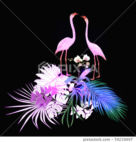 A composition of tropical plants, palm leaves 59239897