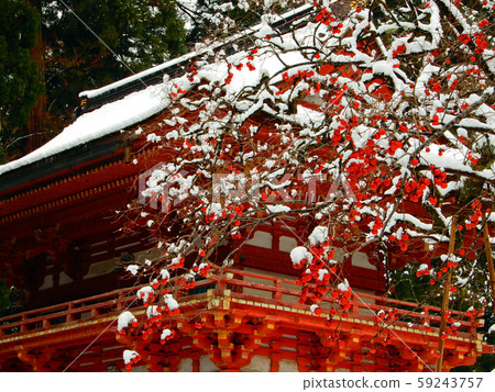 Snow Hiyoshi Grand Shrine Nishimotomiyaromon and Gagged Snow Hiyoshi Grand Shrine Nishimotomiyaromon and Gagged 59243757
