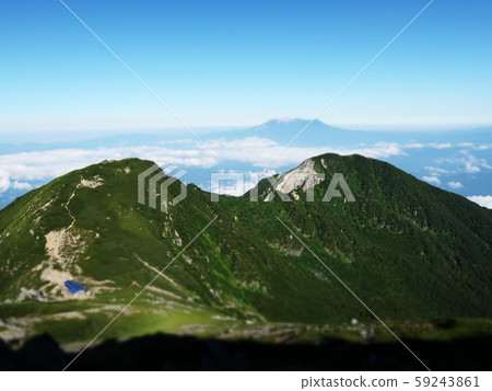 山微型 59243861