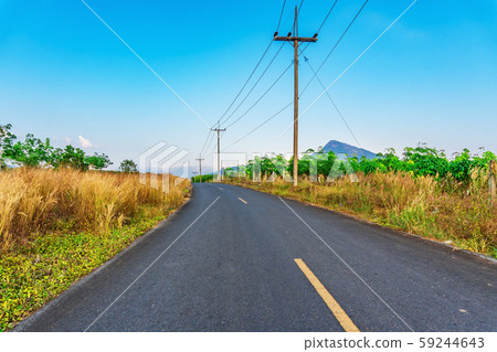 Road with tree rubber plantation nature in Road with tree rubber plantation nature in 59244643