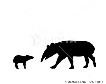 Tapir family. Silhouettes of animals 59244841