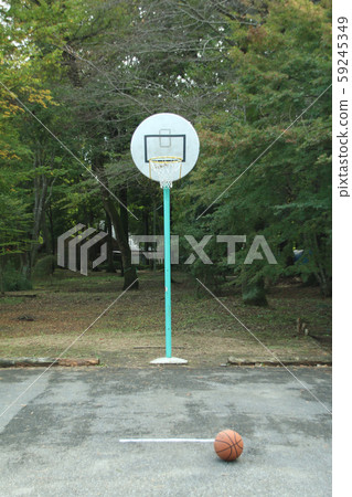 To木市宇都宮瑞穗公園自然公園 To木市宇都宮瑞穗公園自然公園 59245349