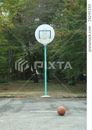 To木市宇都宮瑞穗公園自然公園 To木市宇都宮瑞穗公園自然公園 59245350