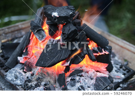 Coal Coal 59246070