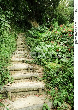 劍潭山的自然步道 59246183