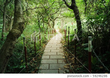 Shuttle in the sunny woods 59246286