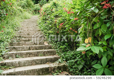 階梯與自然步道 階梯與自然步道 59246290