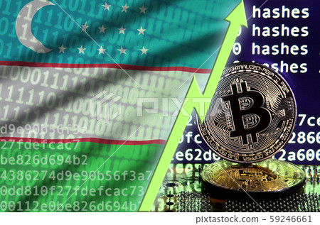 Uzbekistan flag and rising green arrow on bitcoin 59246661