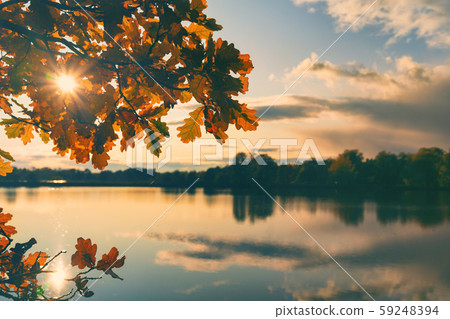 The sun because of the orange leaves on the lake 59248394