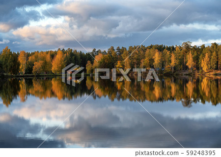 The reeds on the lake in the national park in 59248395