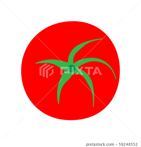 Tomato vegetarian natural isolated harvest vector. 59248552
