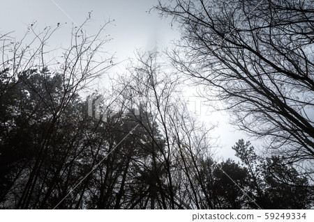 Duga Antenna Complex in Chernobyl Exclusion zone 2019 Duga Antenna Complex in Chernobyl Exclusion zone 2019 59249334