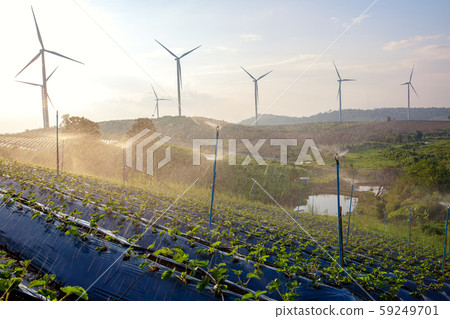 The windmill production for electricity from the 59249701