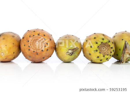 Green prickly pear isolated on white Green prickly pear isolated on white 59253195