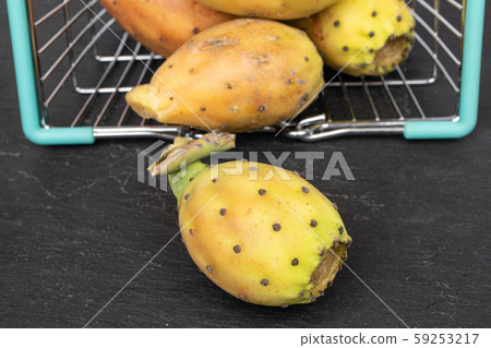 Green prickly pear on grey stone Green prickly pear on grey stone 59253217