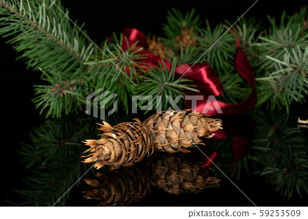 Christmas tree branch isolated on black glass Christmas tree branch isolated on black glass 59253509