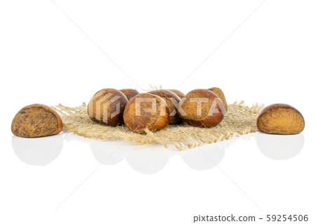 Sweet brown chestnut isolated on white 59254506