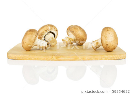 Fresh brown mushroom isolated on white Fresh brown mushroom isolated on white 59254632