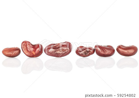 Fresh red kidney bean isolated on white Fresh red kidney bean isolated on white 59254802