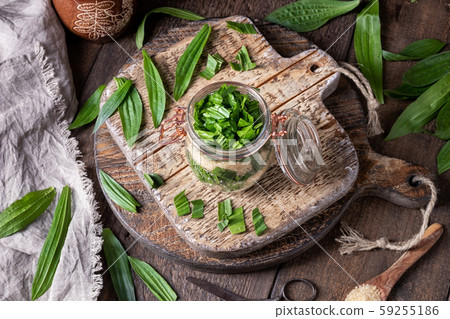 Preparation of ribwort plantain syrup against cough 59255186