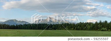Panorama of High Tatras with prominent mount Krivan peak Slovak symbol in centre, meadow and 59255507