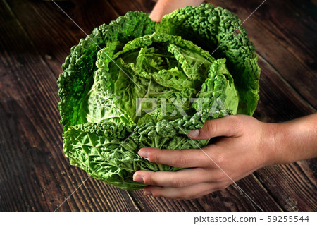 Hands holding savoy cabbage head over dark wooden desk 59255544