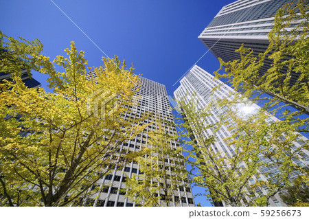 日本的東京城市景觀霞關摩天大樓,霞關大樓和霞關共同門 日本的東京城市景觀霞關摩天大樓,霞關大樓和霞關共同門 59256673