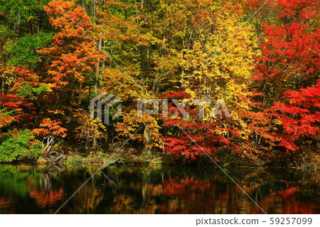 Hachimantai of autumn leaves 59257099