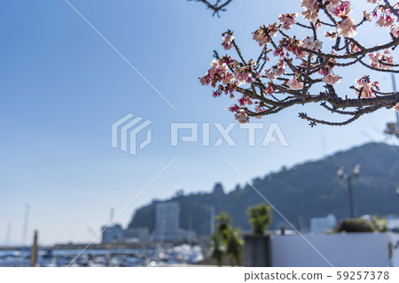 [Atami Sakura Beach] 59257378