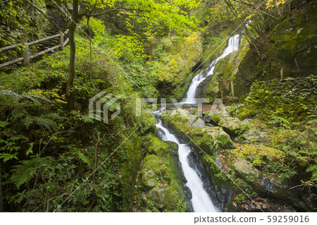 李子樹Tononaki瀑布 李子樹Tononaki瀑布 59259016