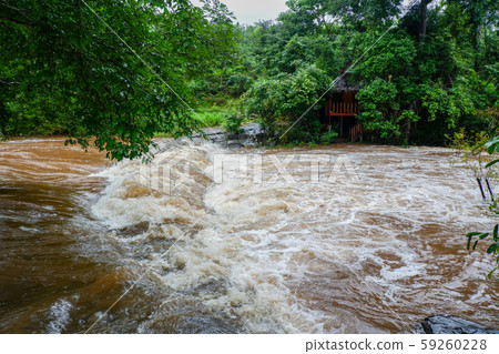 Water flood on river after heavy rain rapids water Water flood on river after heavy rain rapids water 59260228