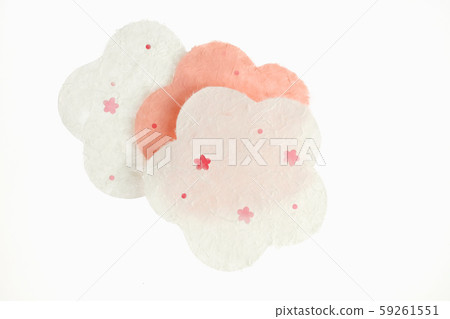 Japanese paper-plum Japanese paper-plum 59261551