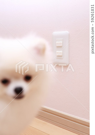 Outlet cap (safety, safety, tamper-proof cover, copy space, prevention of electric shock, accessories, miscellaneous goods) 59261831