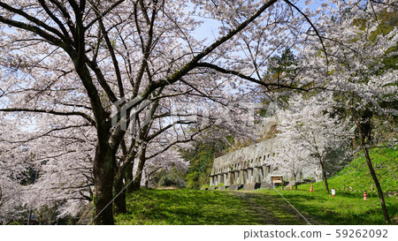Sado Kanayama modern industrial heritage where cherry blossoms bloom, mine site 59262092