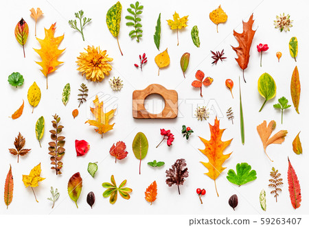Autumn Flat Lay on the White. 59263407