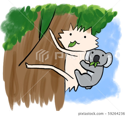 Koala and Pomeranian who climb up a tree and eat eucalyptus leaves 59264236