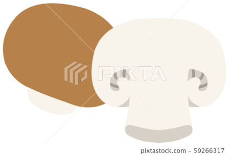 Illustration without main line of brown mushroom with one and cut halves arranged Illustration without main line of brown mushroom with one and cut halves arranged 59266317