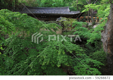 Gilsangsa Temple 59266672