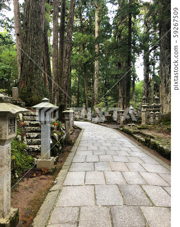 奧野路線2 奧野路線2 59267509