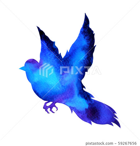 bird flying art watercolor painting illustration 59267656